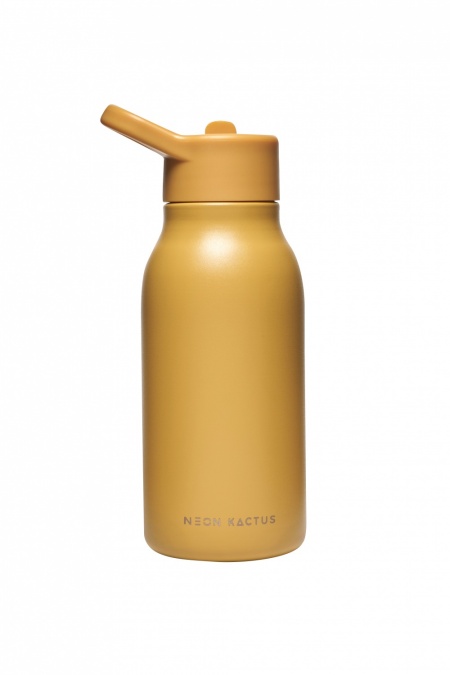 Neon Kactus Stainless Steel Bottle - 340ml